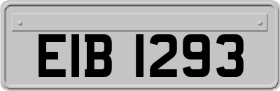 EIB1293