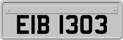 EIB1303
