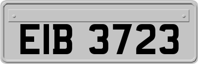 EIB3723
