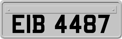 EIB4487