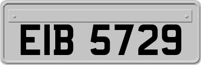 EIB5729