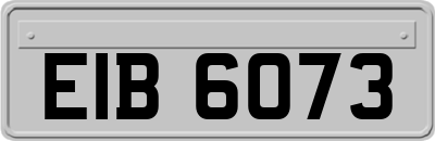 EIB6073