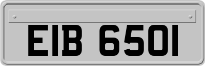 EIB6501