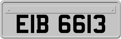 EIB6613