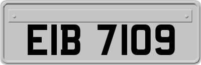 EIB7109