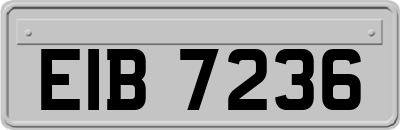 EIB7236