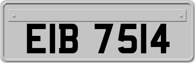 EIB7514