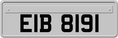 EIB8191