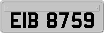 EIB8759