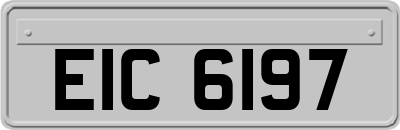 EIC6197
