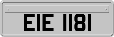 EIE1181