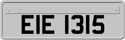 EIE1315
