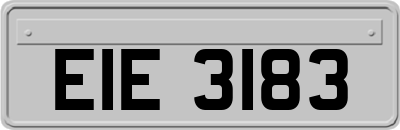 EIE3183