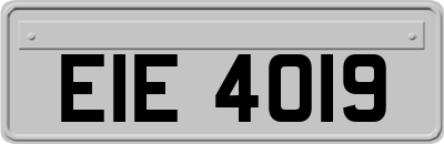 EIE4019