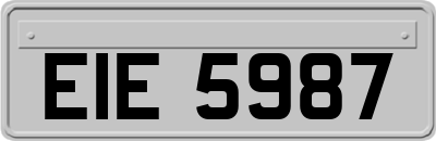 EIE5987
