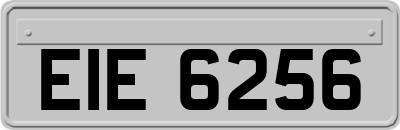 EIE6256