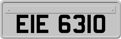 EIE6310