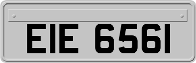EIE6561