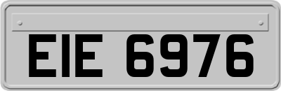 EIE6976