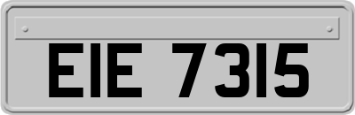 EIE7315