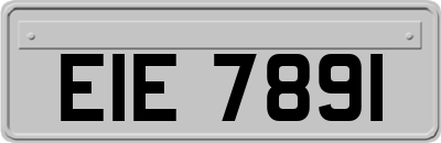EIE7891