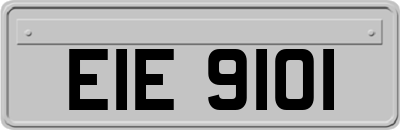 EIE9101