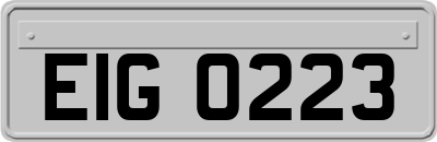 EIG0223