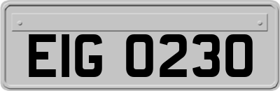 EIG0230
