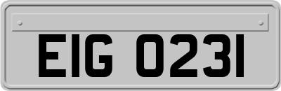 EIG0231