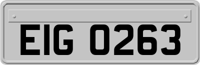 EIG0263