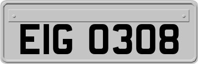 EIG0308