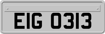 EIG0313