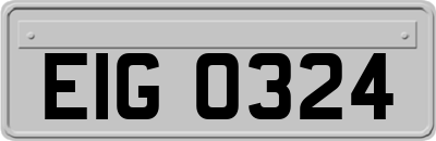 EIG0324
