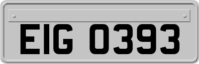 EIG0393
