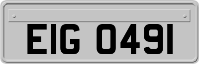 EIG0491
