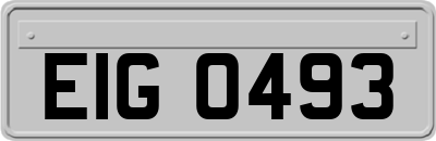 EIG0493