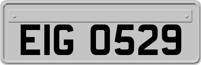 EIG0529