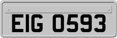 EIG0593
