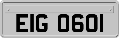 EIG0601