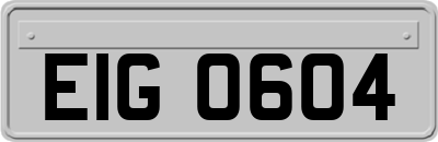 EIG0604