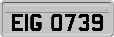 EIG0739