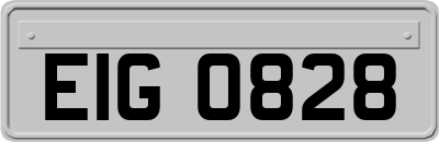 EIG0828