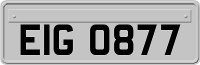 EIG0877