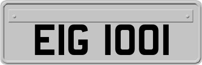 EIG1001