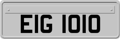 EIG1010
