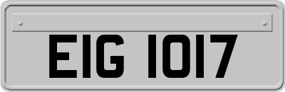 EIG1017