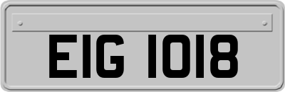 EIG1018