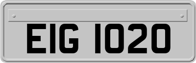 EIG1020
