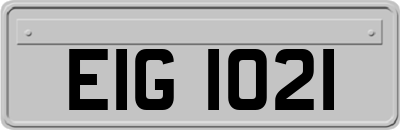 EIG1021