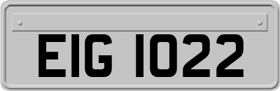 EIG1022